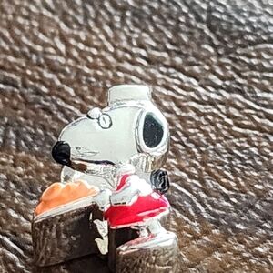 Peanuts Silver and Red Bracelet Charm